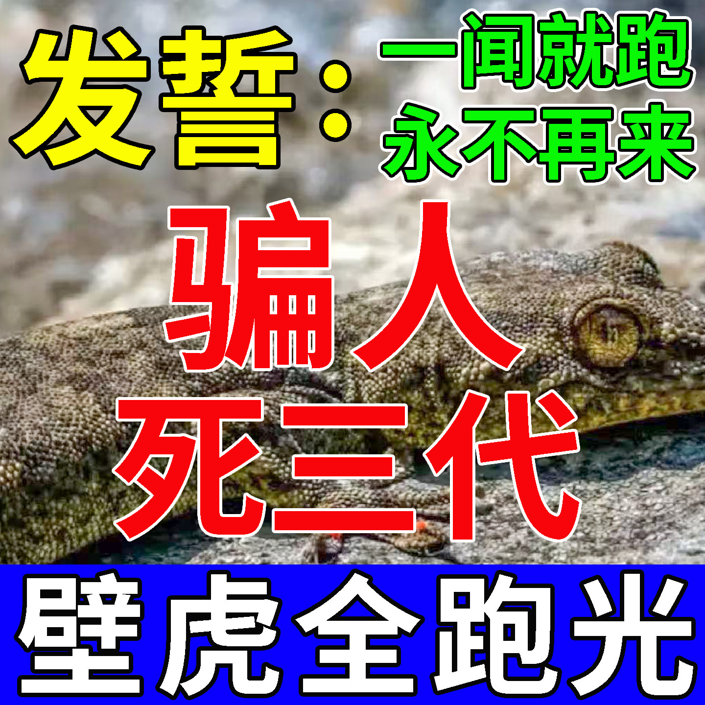 壁虎怎么驱赶最有效(壁虎怎么驱赶最有效家用方法)