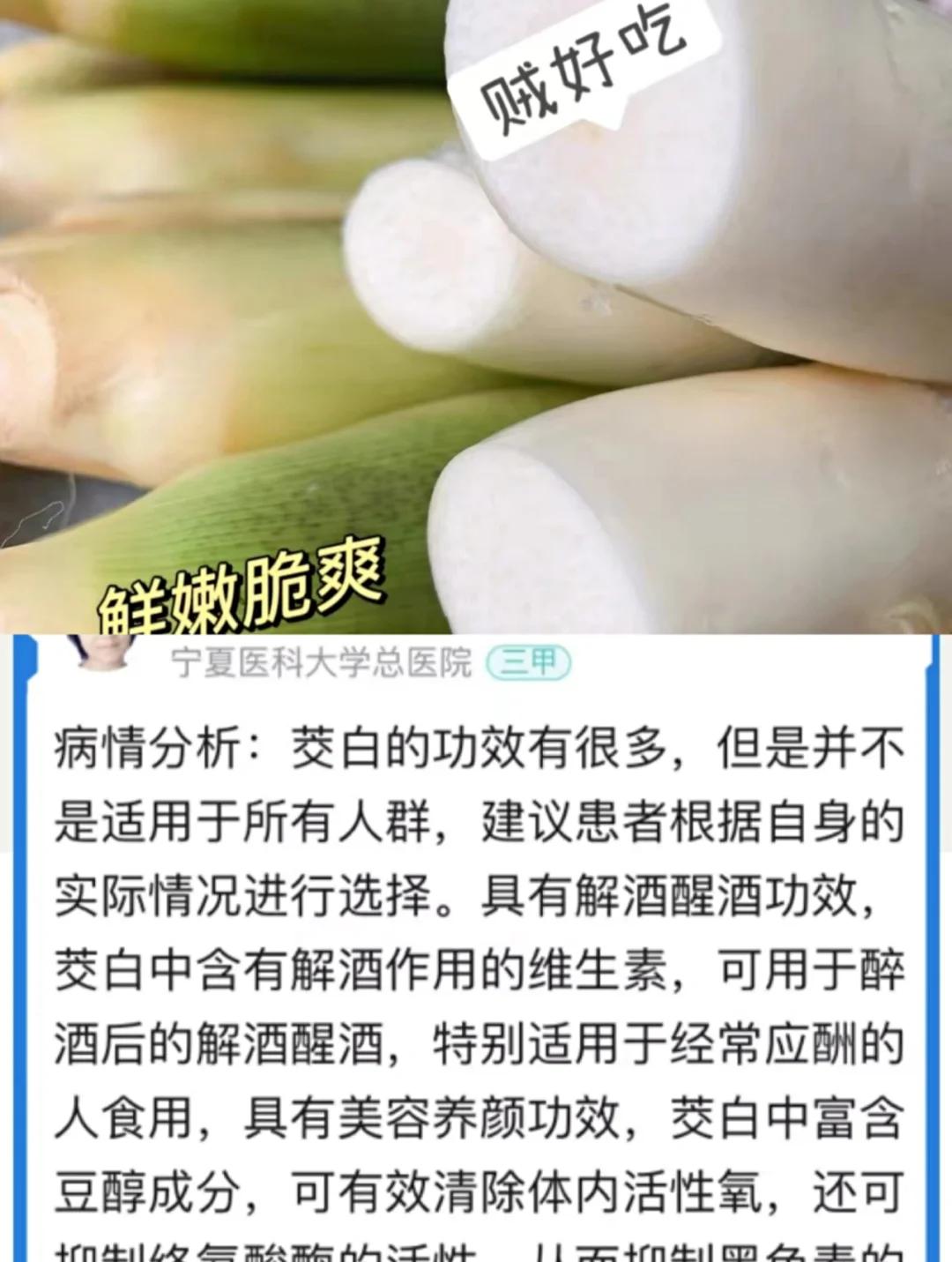 薤白什么人不能吃(薤白什么人不能吃呢)