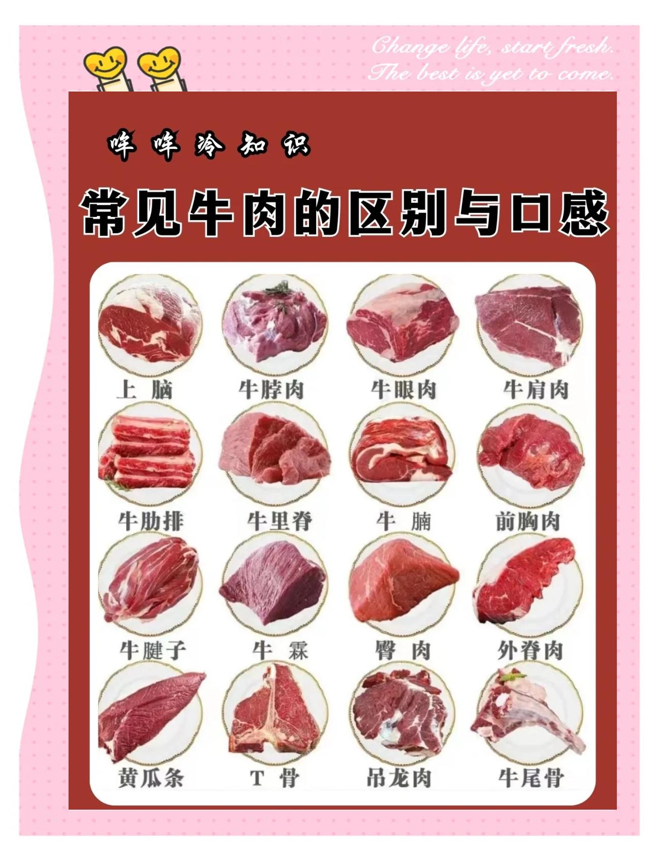 牛身上好吃的部位排序(牛身上哪个部位最好吃价格最高)