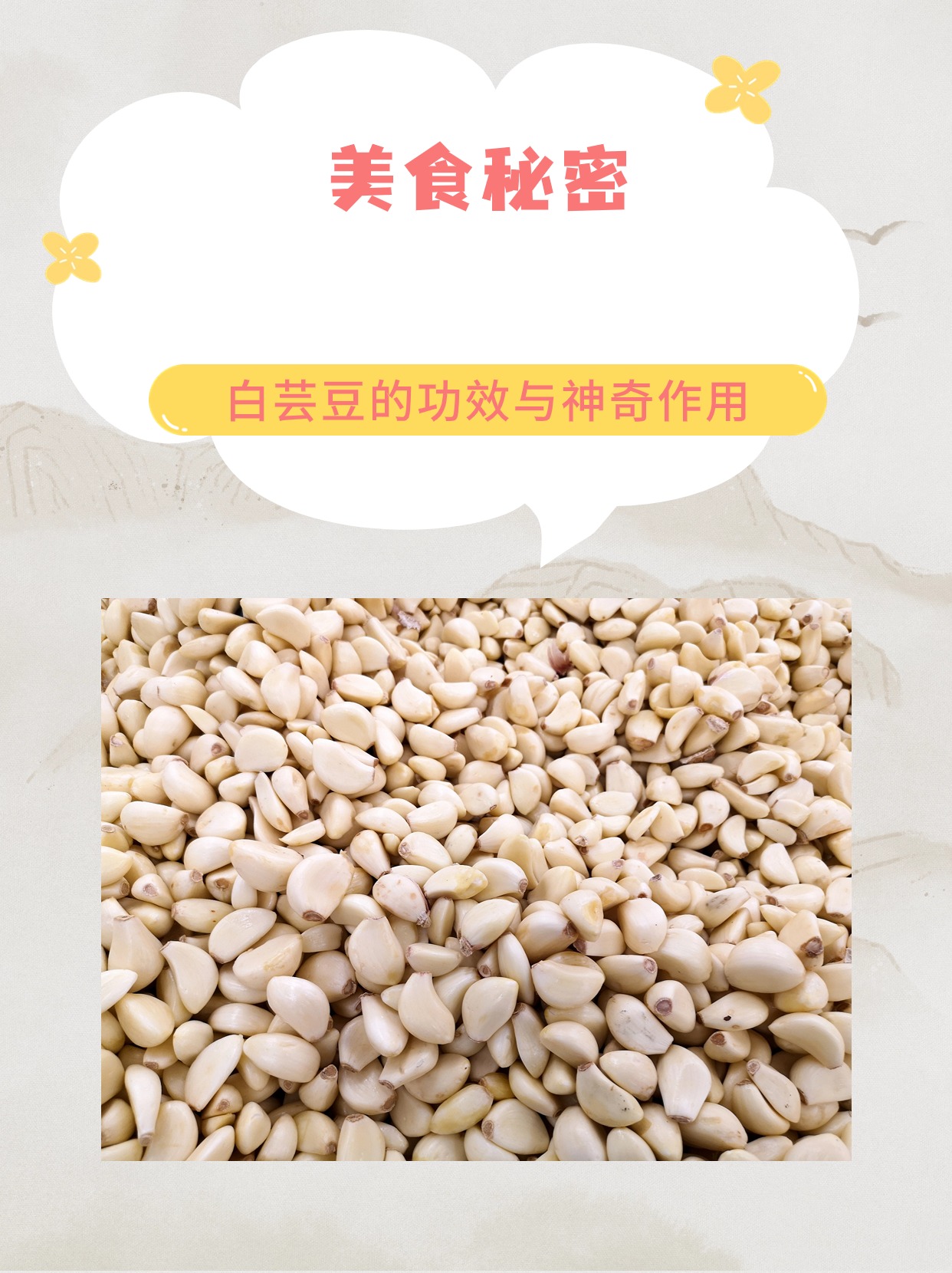 白饭豆的功效与作用(白饭豆的功效与作用是什么) 白饭豆的功效与作用(白饭豆的功效与作用是什么)
