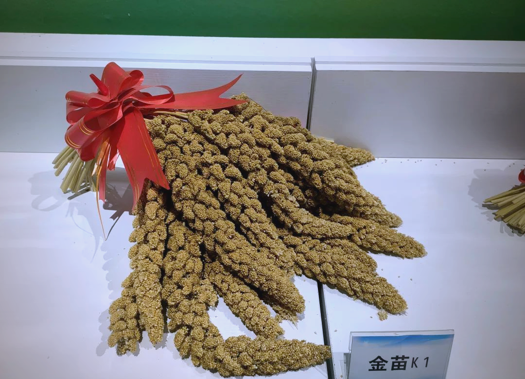 金谷粮食网(一亩田批发市场)