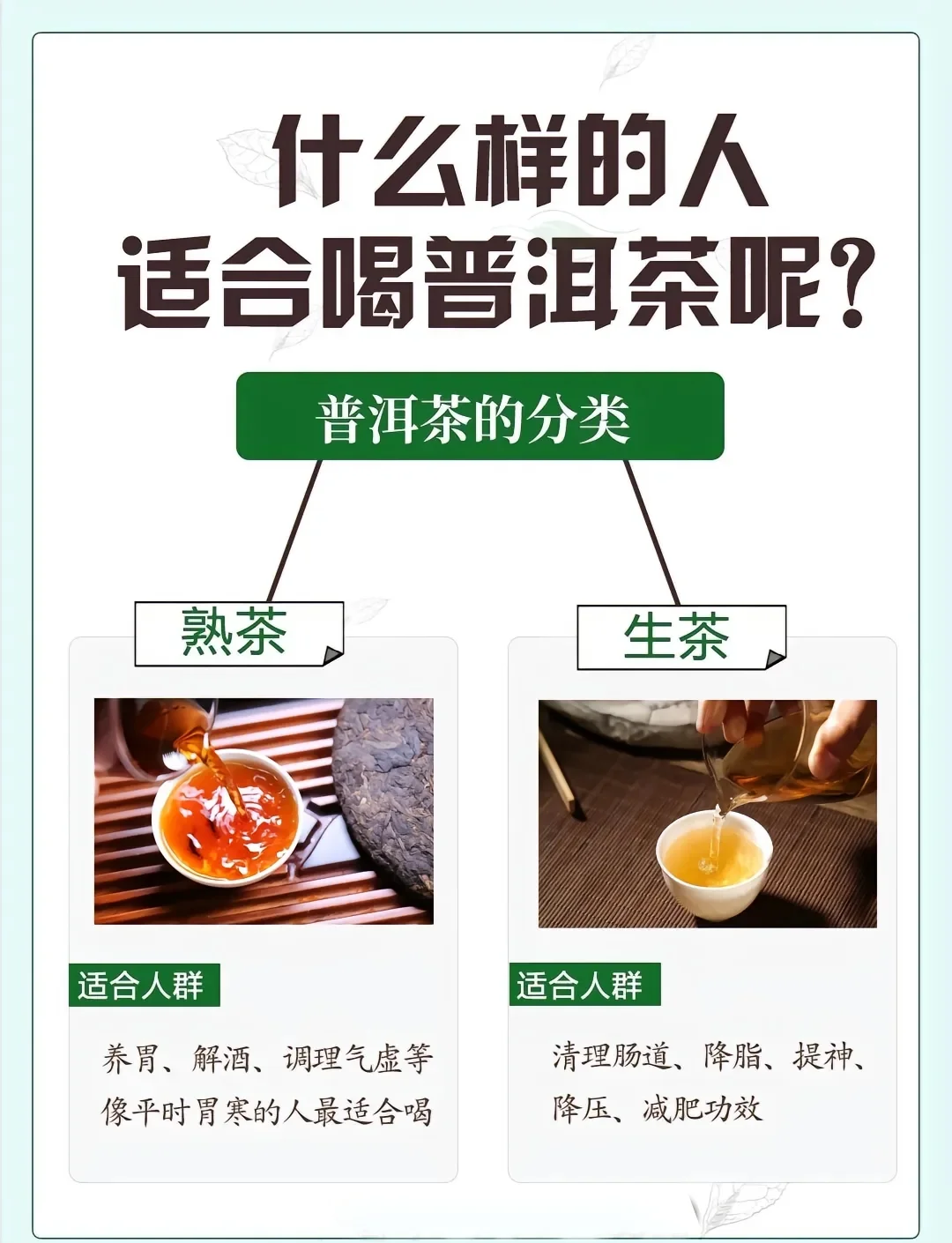 紫娟普洱茶的功效(普洱紫娟茶大概价位)