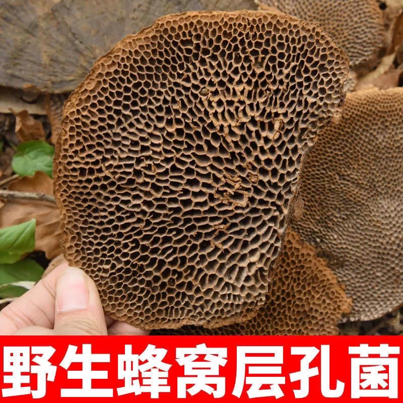 蜂窝泡酒的作用与功效(蜂窝泡酒的作用与功效可以长期喝吗)