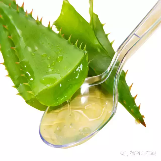 黄芩滑石汤(黄芩滑石汤原文)