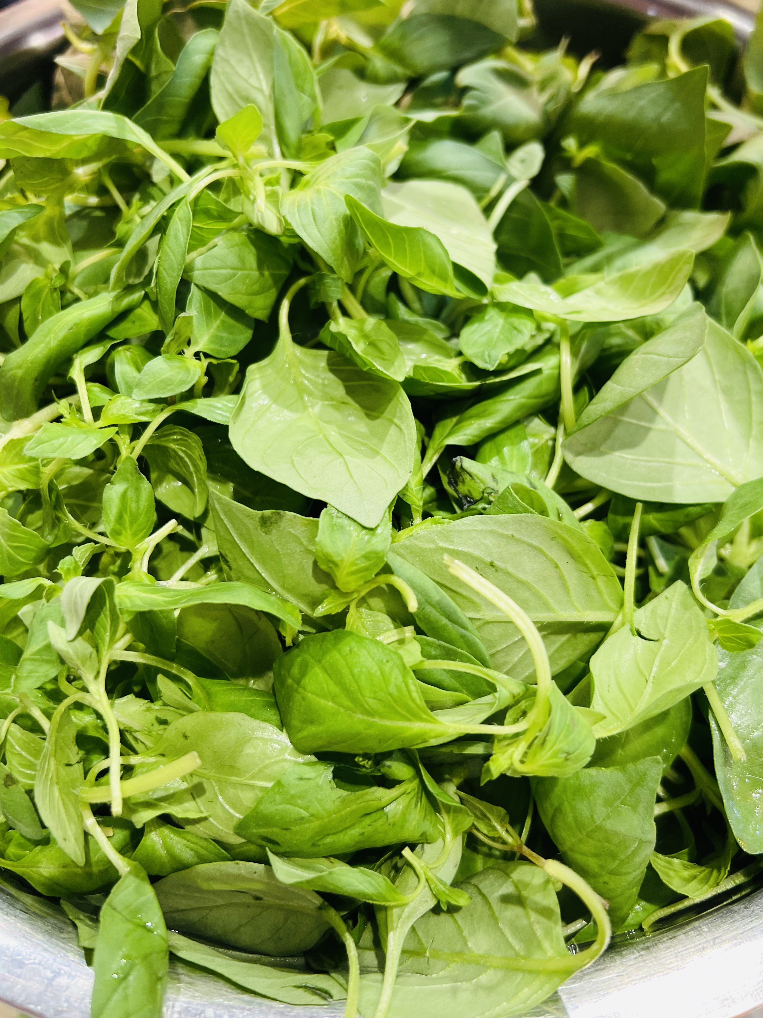 荆芥菜图片(湖北荆芥菜图片)