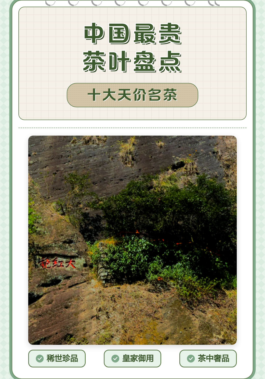 中国最贵茶叶排名价格表(中国最贵的茶叶排名百度百科)