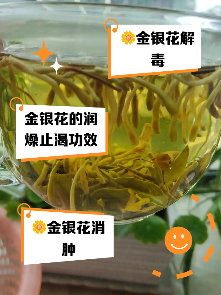金银花泡水的正确方法(金银花和什么一起泡水是最佳搭配)
