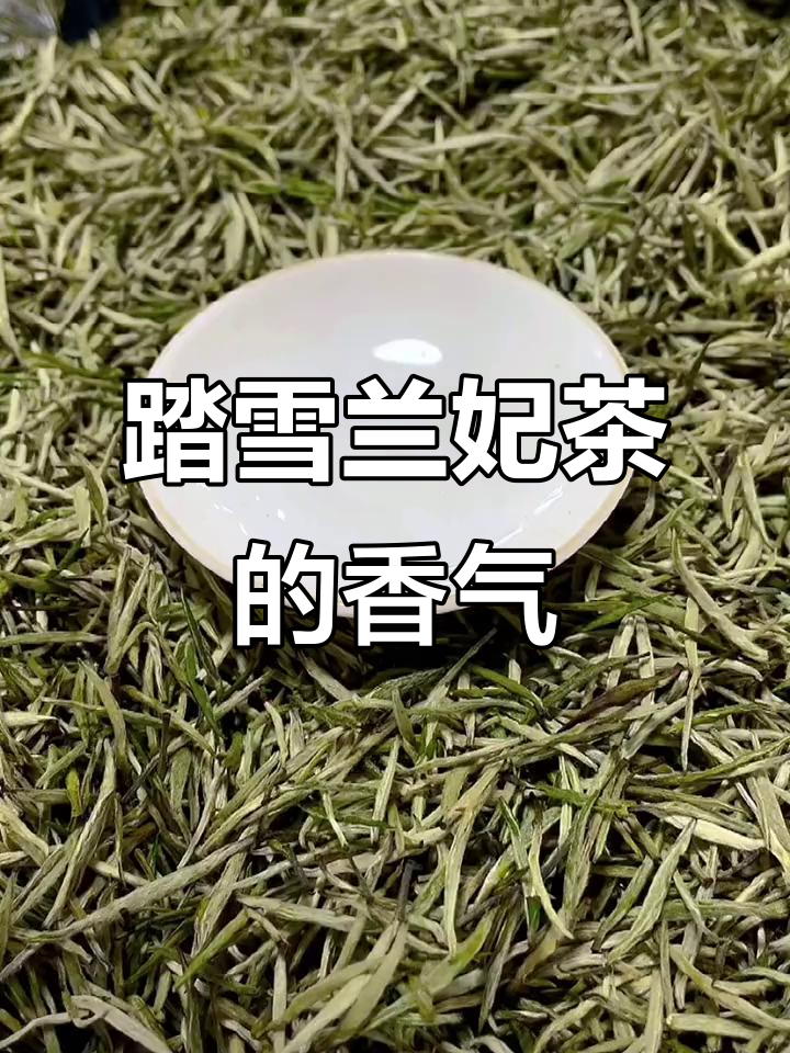 踏雪兰妃茶简介(踏雪兰妃是什么茶产自哪里)
