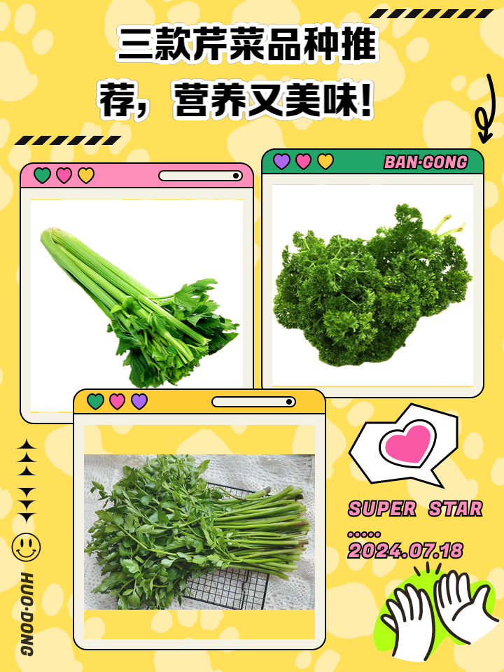 生芹菜吃了有什么好处(生芹菜吃了有什么好处高血压)