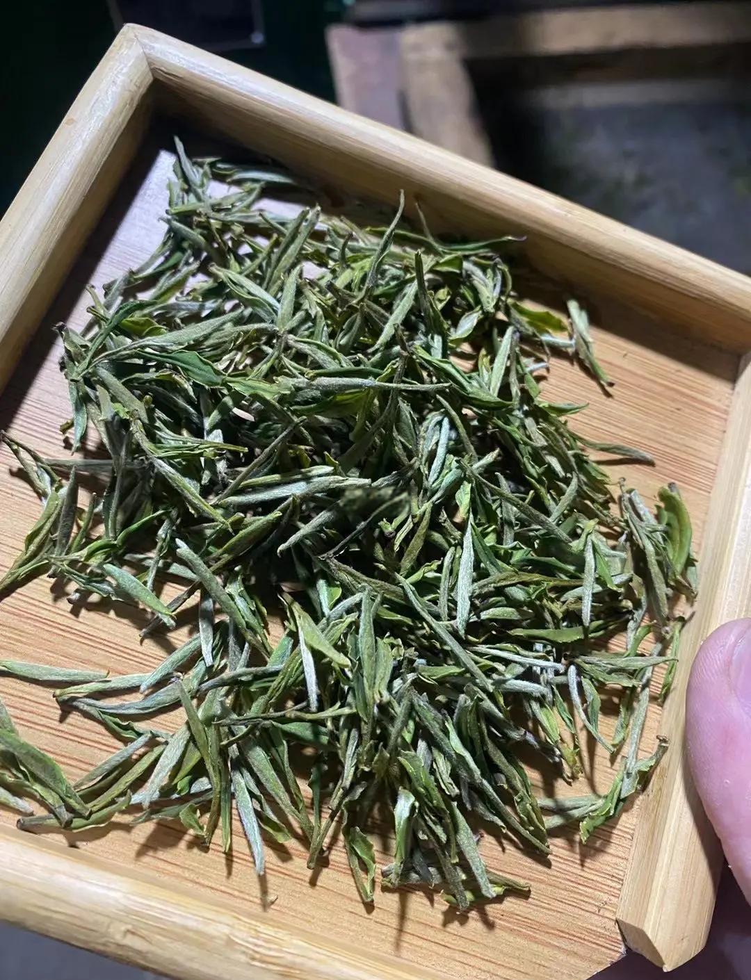 黄山毛峰功效(黄山毛峰对人体有什么好处)