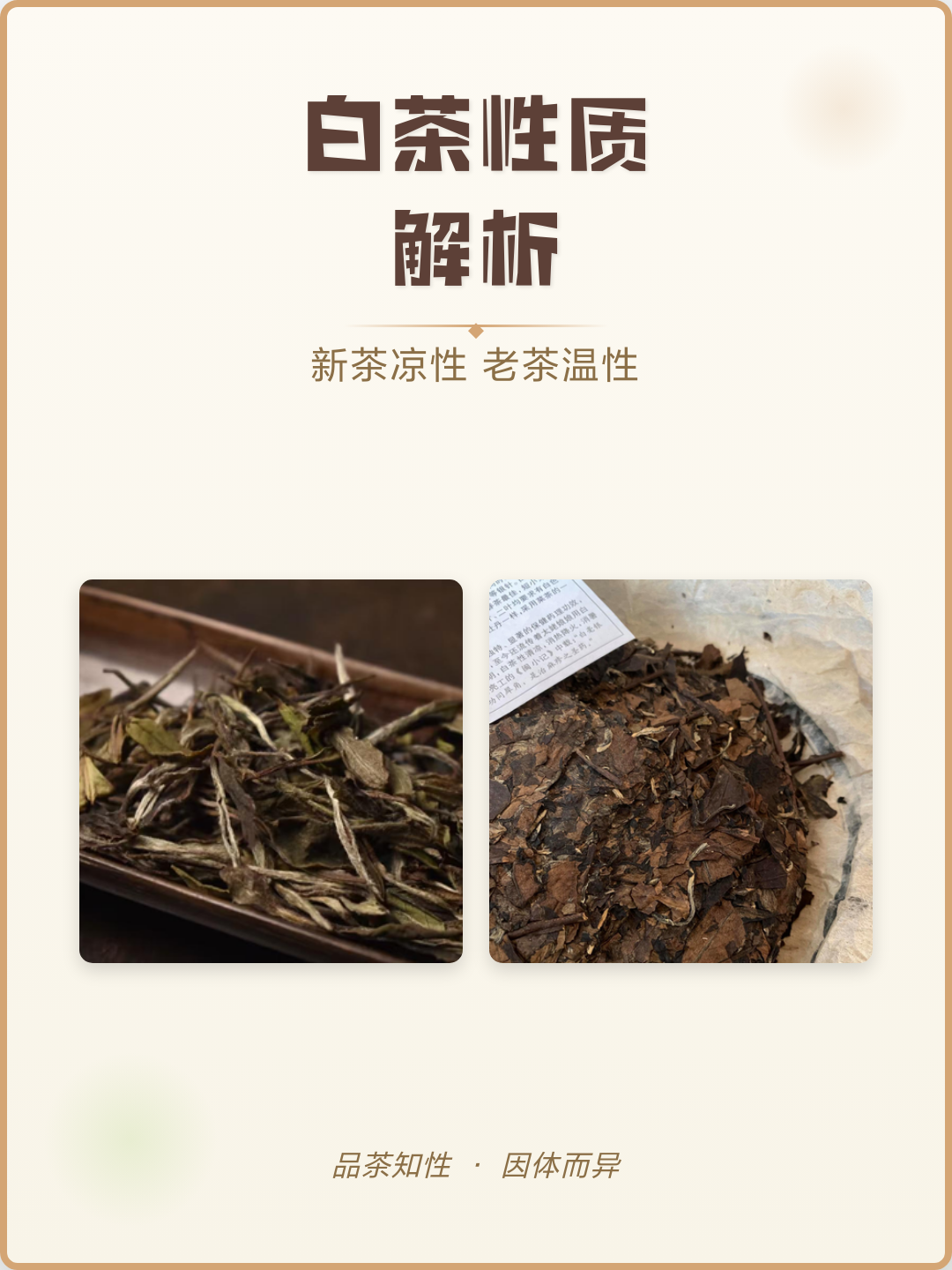 白茶性寒还是性温(福鼎白茶性寒还是性温)