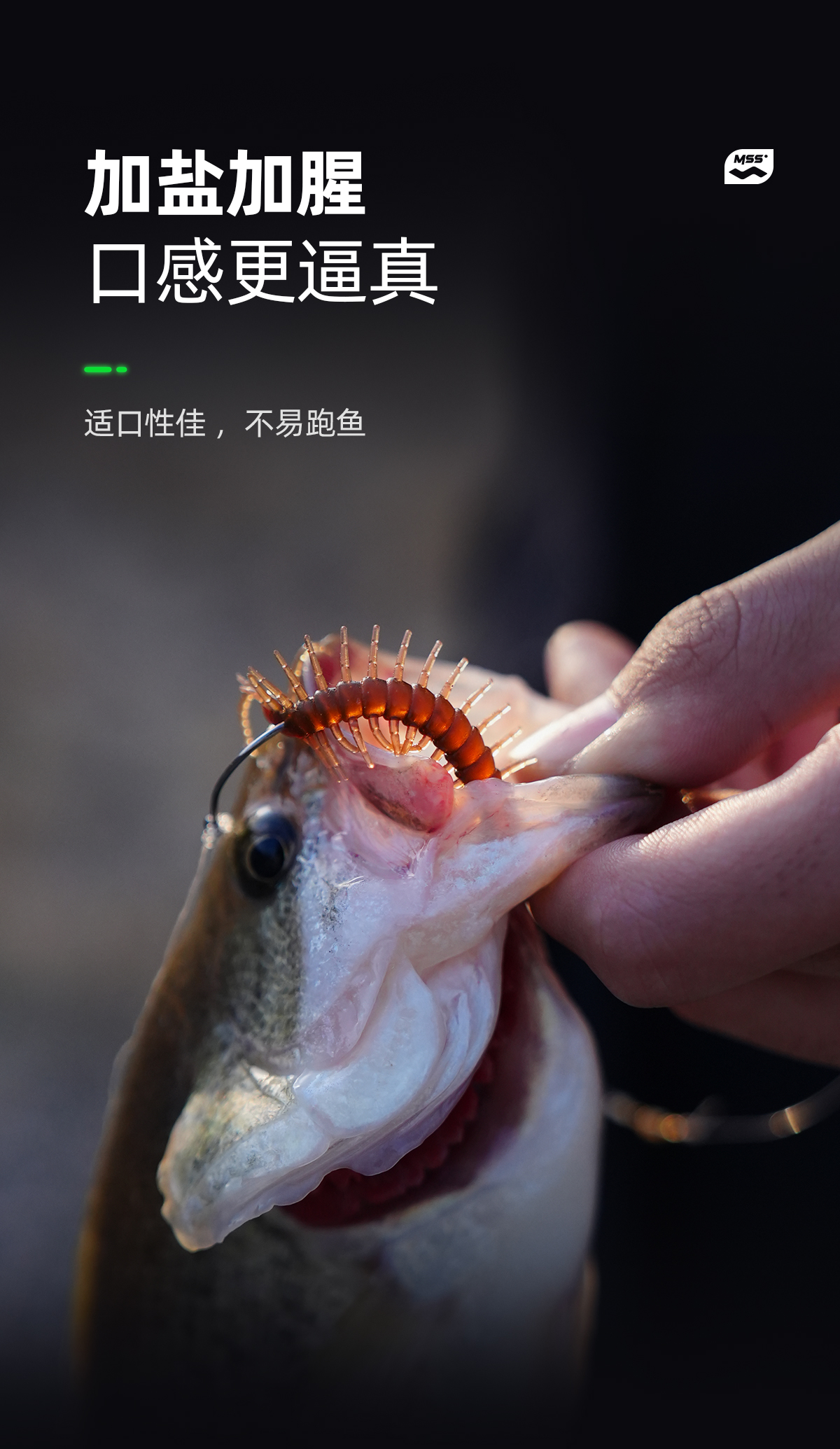 性之诱饵(诱之是什么意思)