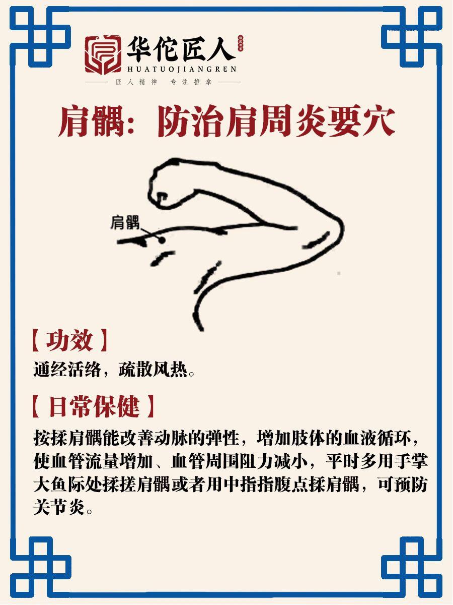 肩髃的准确位置的作用和功效(肩髃的准确位置的作用和功效图片)