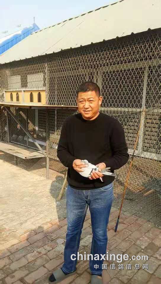 任丘信息网(任丘信息网房屋出租)
