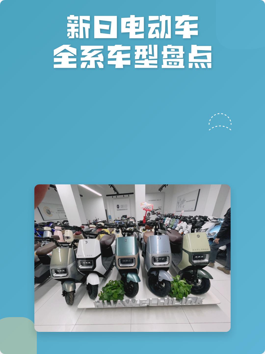 新日电动车价格表(新日电动车价格表及图片)