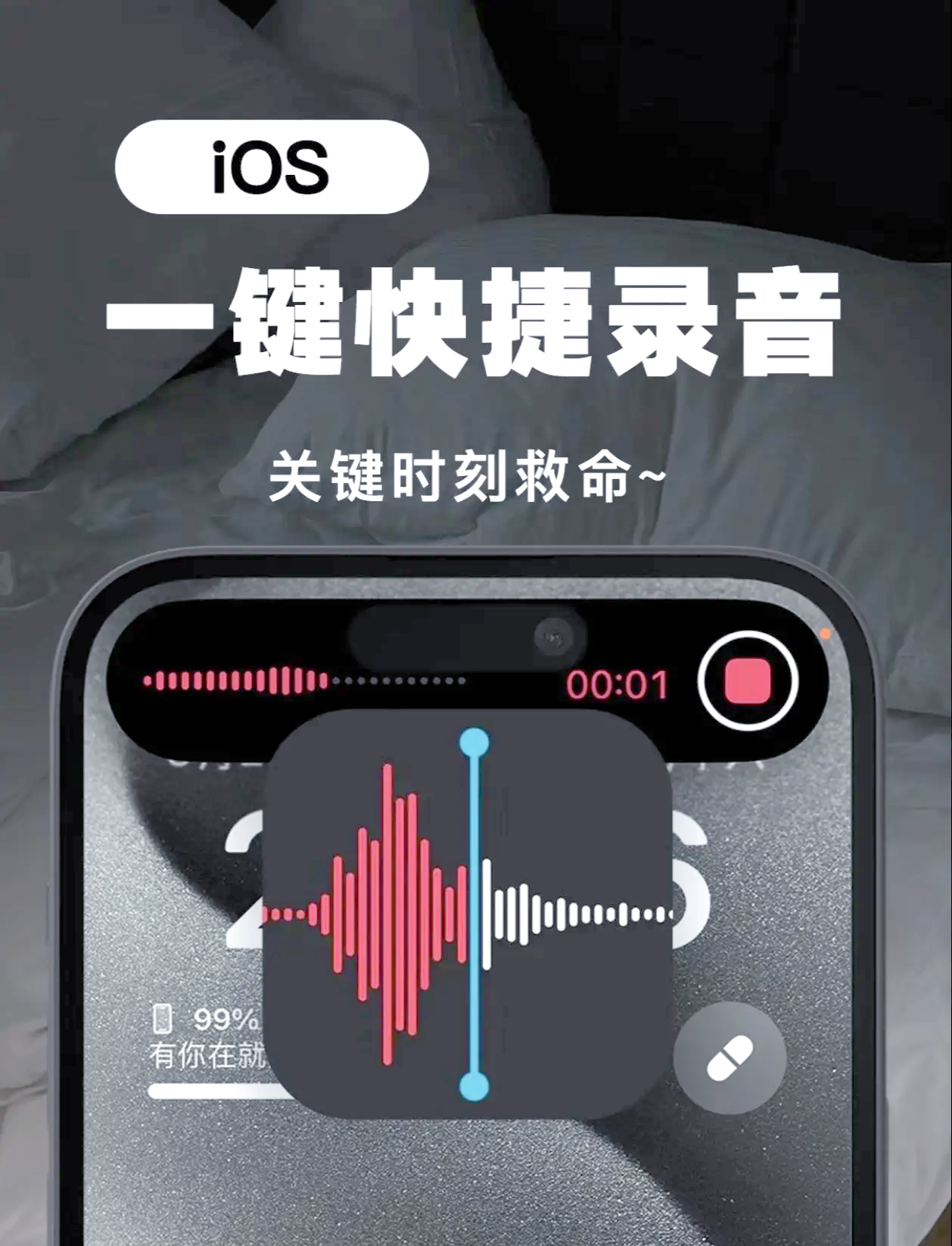 苹果手机能录音吗(苹果手机能录音吗打电话的时候)