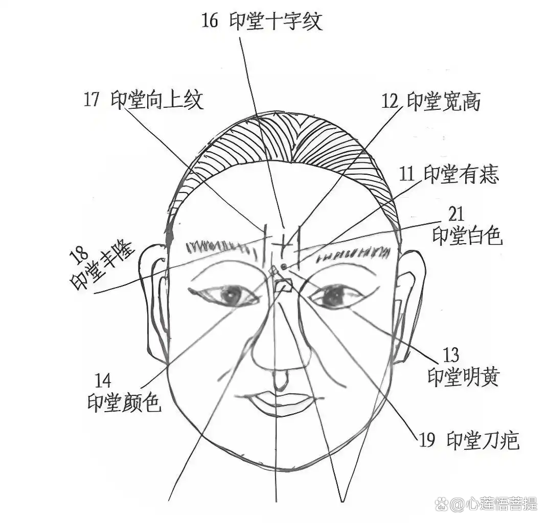 女人眉间八字纹富豪(印堂有八字纹的女人好不好) 女人眉间八字纹富豪(印堂有八字纹的女人好不好)
