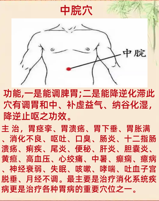 中脘的准确位置图片(关元的准确位置图片 图) 中脘的准确位置图片(关元的准确位置图片 图)