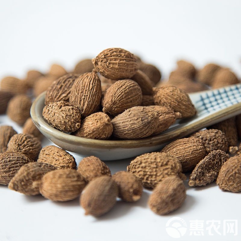 益智仁泡水喝一次放多少粒(益智仁泡水喝一次放多少粒合适)