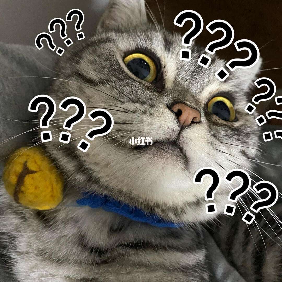 一脸懵圈的图片(一脸懵圈的图片下载)