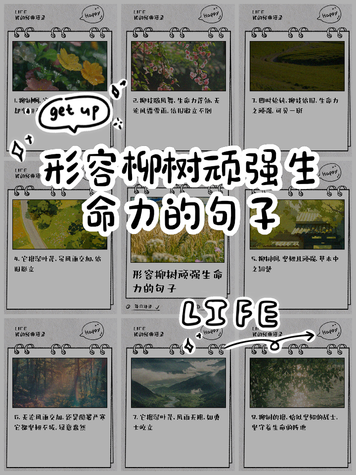 赞美石缝中生命的句子(赞美石缝中生命的句子简短)