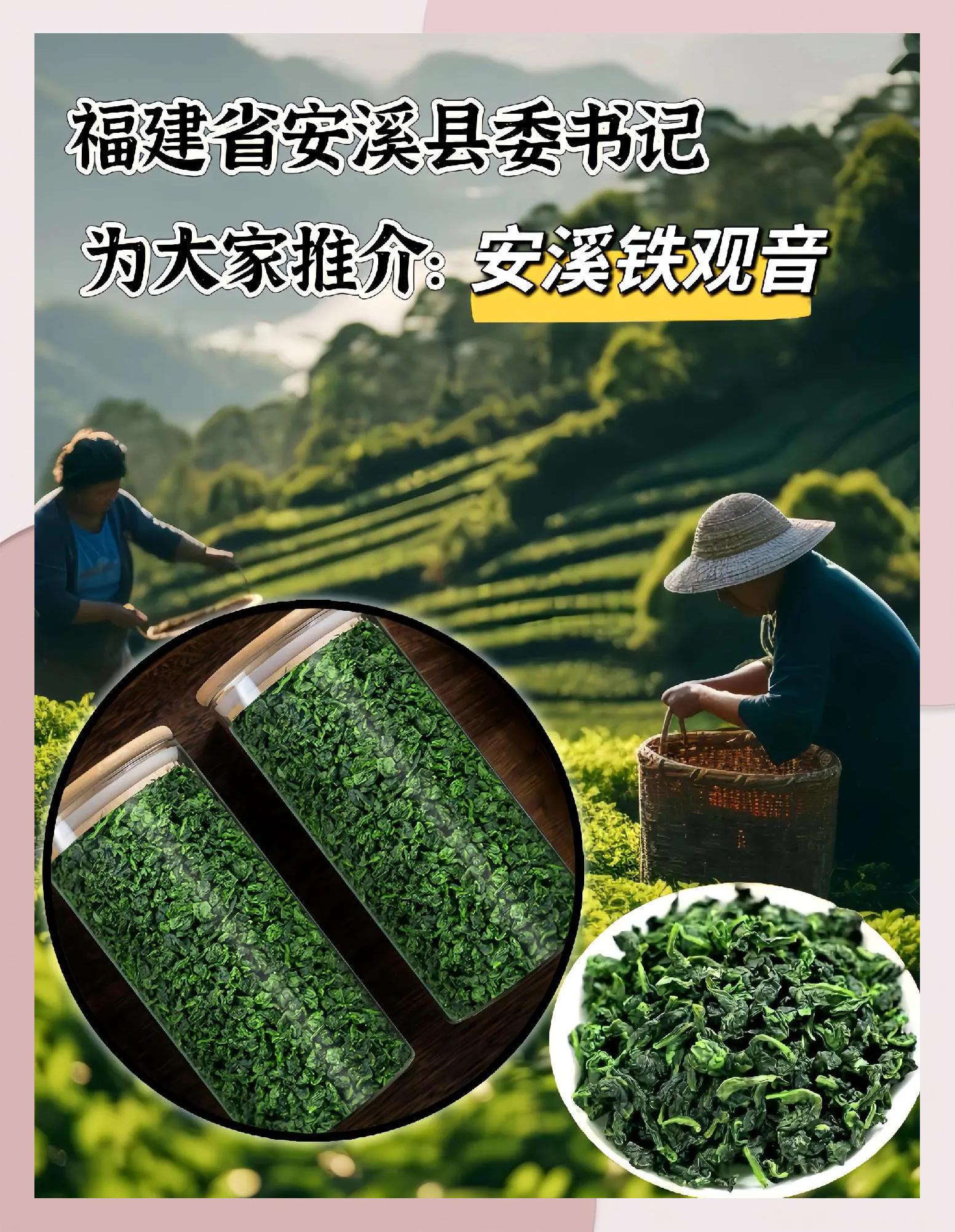 铁观音冲泡方法和时间(铁观音的冲泡方法及注意事项)