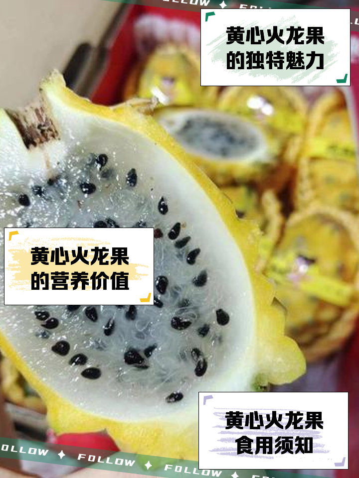 为什么火龙果不宜晚上吃(为什么晚上不可以吃火龙果)