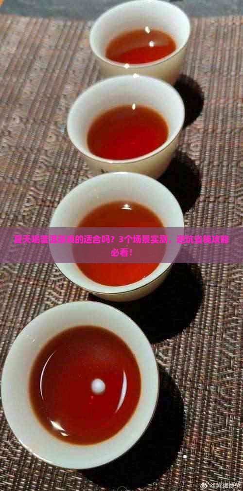 夏天能喝普洱茶吗(夏天能喝普洱茶吗?三伏天什么人适合喝普洱茶)