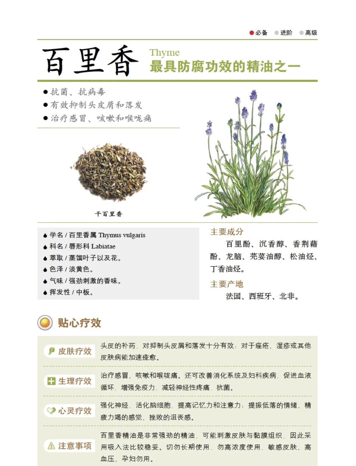 木香的用量(木香的用量15克多不多)