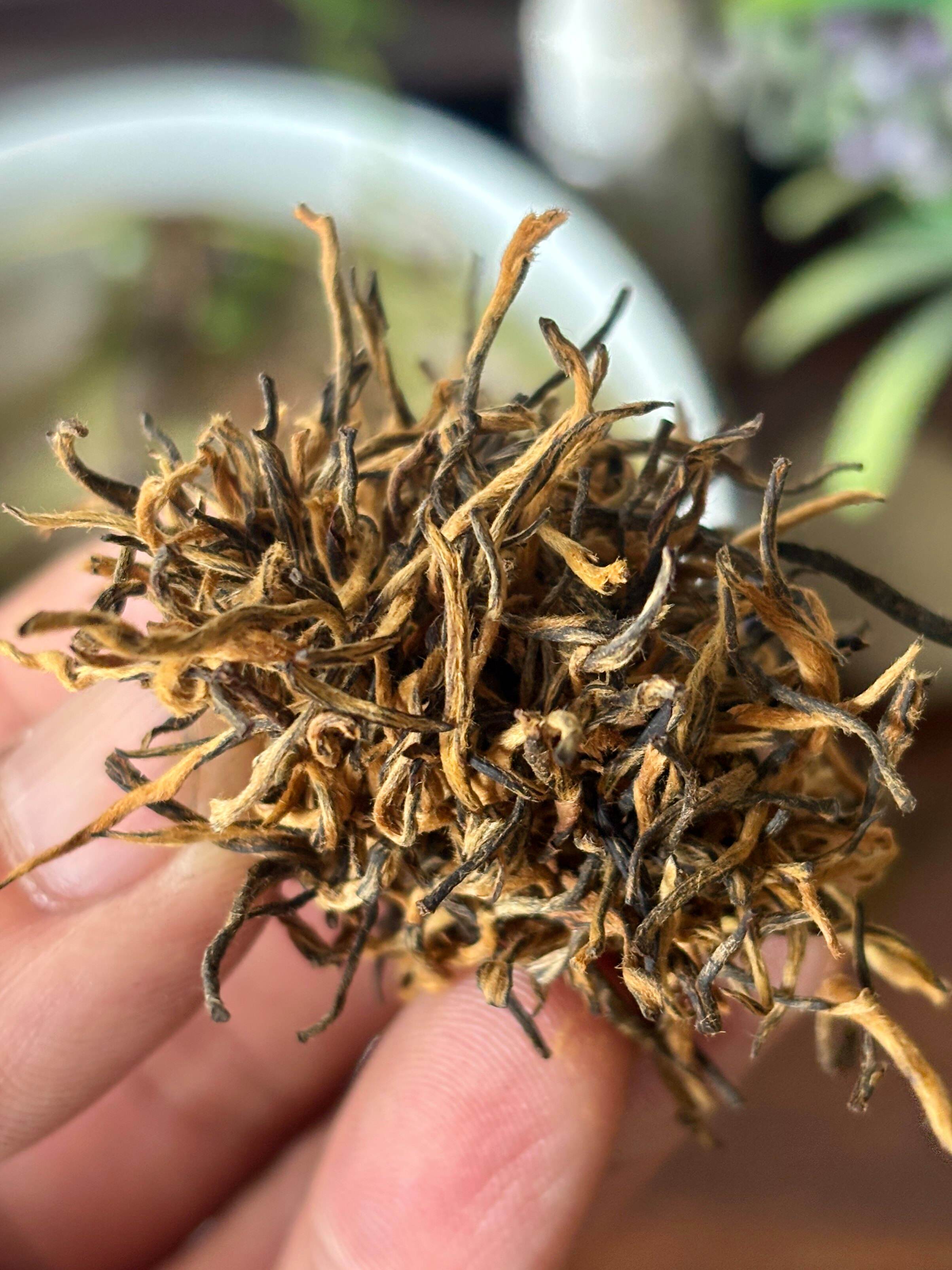 四川十大名茶(四川十大名茶排行榜)