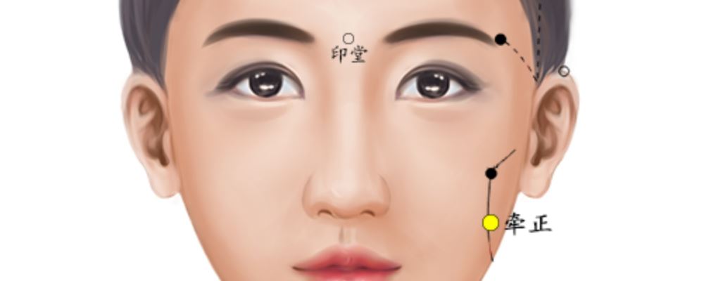 牵正的准确位置图(二三年级家长会班主任发言)