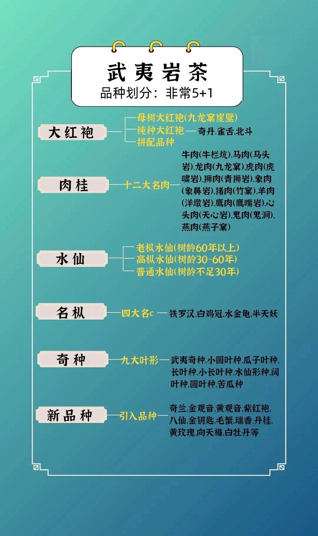 岩茶的五大种类(岩茶的种类及功效)