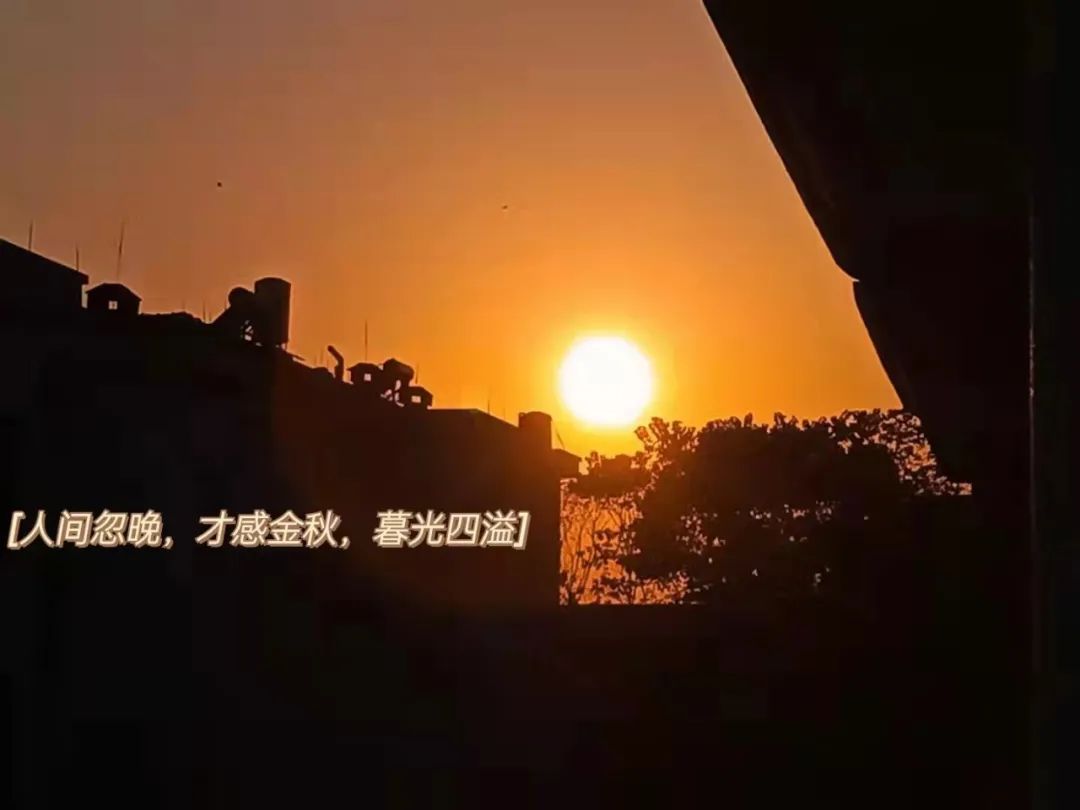 我在等风也等你全诗(我在等风也等你的前一句是什么) 我在等风也等你全诗(我在等风也等你的前一句是什么)