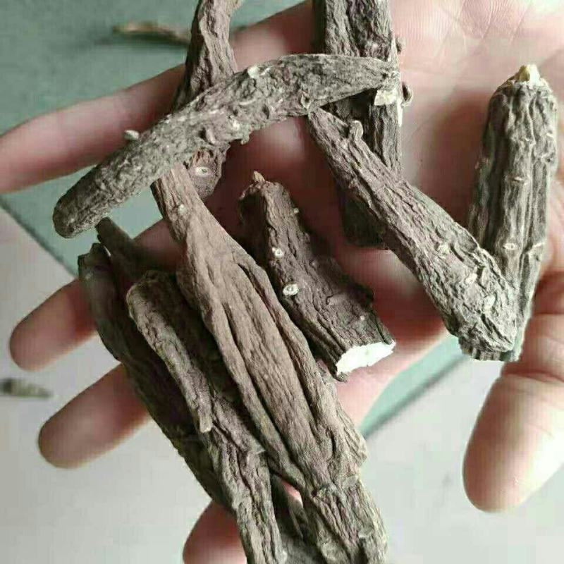 雪上一枝蒿图片(云南雪上一枝蒿图片)