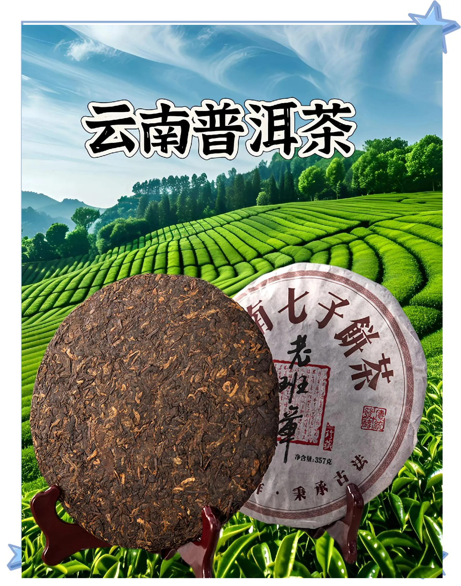 普洱生茶哪个牌子好(普洱生茶哪个牌子好一点)