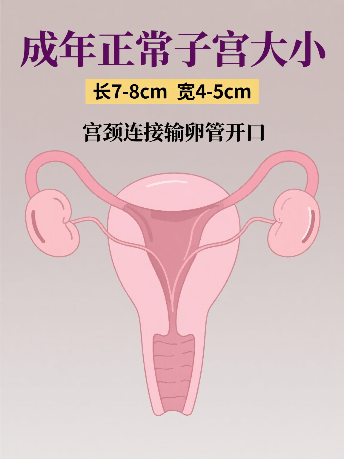 正常的宫颈图片(正常的宫颈图片对比第1页)