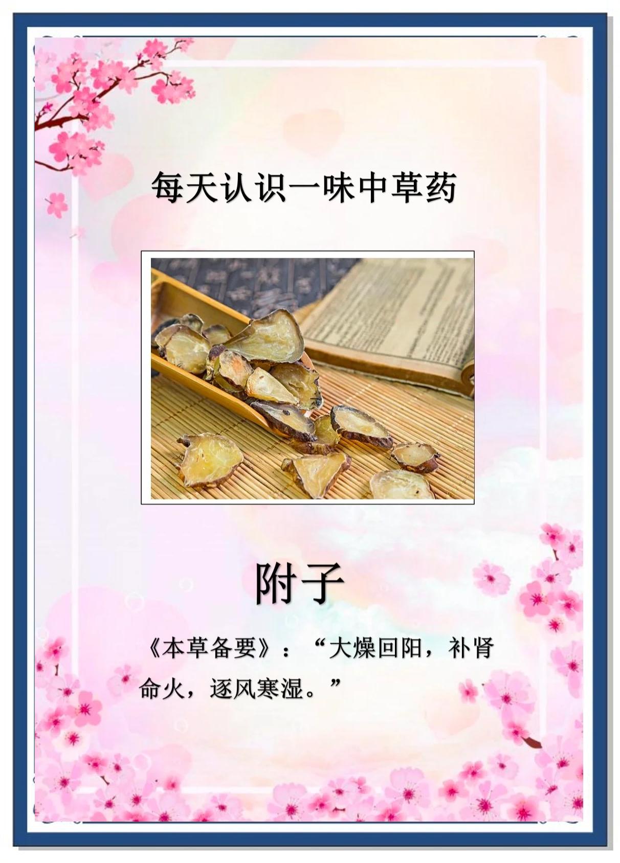 附子汤的功效与作用及组成配方(附子汤的功效与作用及组成配方用量)