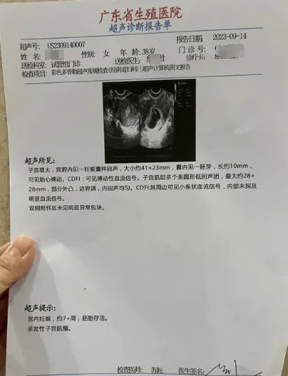 怀孕检查报告单图片(怀孕检查报告单图片造假)