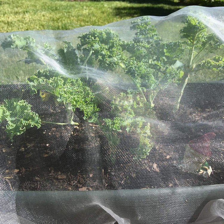 英德市小虫网(英德市小虫网最新招保安工作人员)