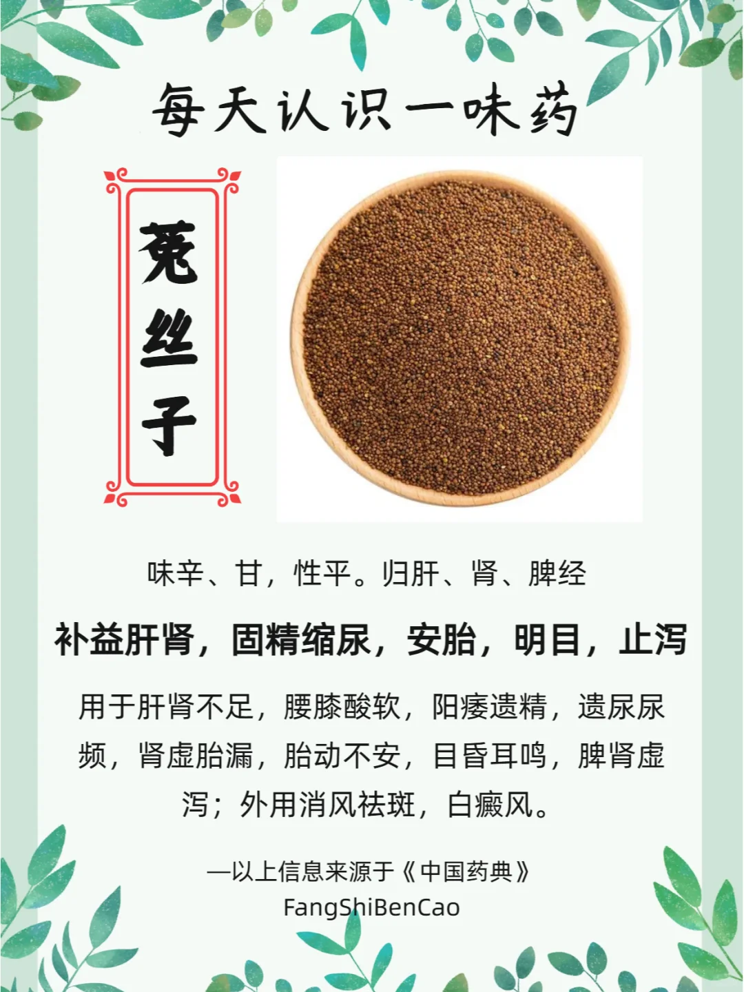 菟丝草图片及功效(菟丝草图片及功效与作用) 菟丝草图片及功效(菟丝草图片及功效与作用)