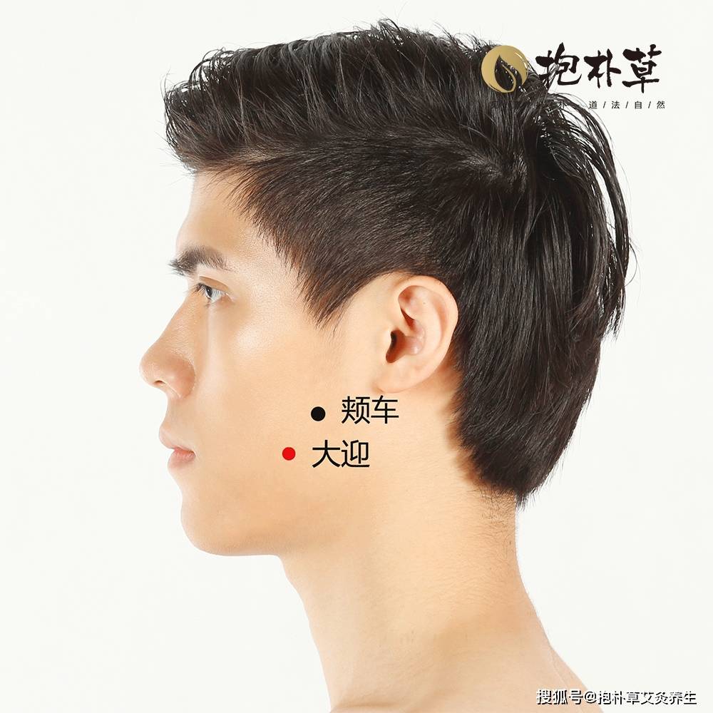 大迎的准确位置图片及功效(大迎的准确位置图作用可以美容吗)