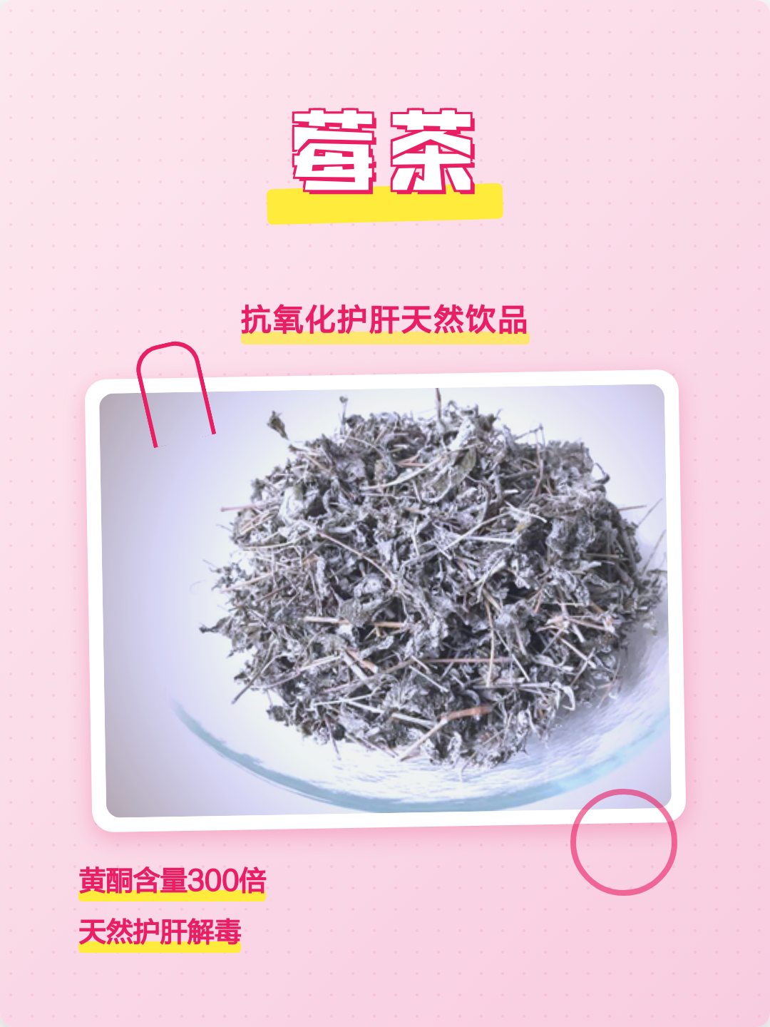 莓茶的作用与功效(紫玉莓茶的作用与功效) 莓茶的作用与功效(紫玉莓茶的作用与功效)