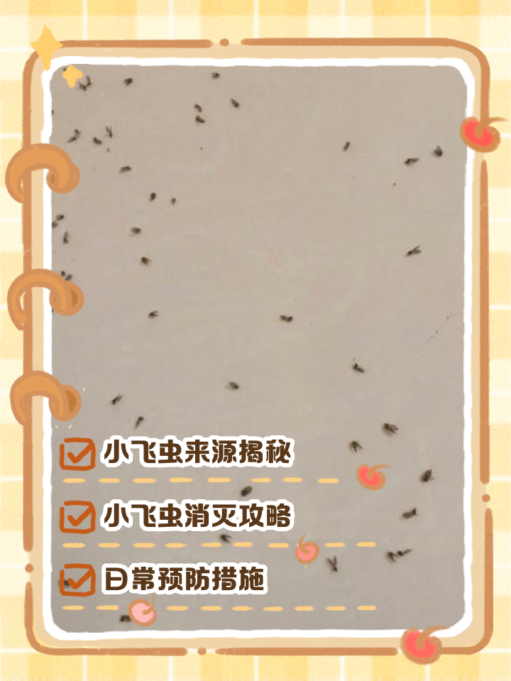 家里小飞蛾的最佳消灭方法(家里有小飞蛾怎么办? 教你一招)