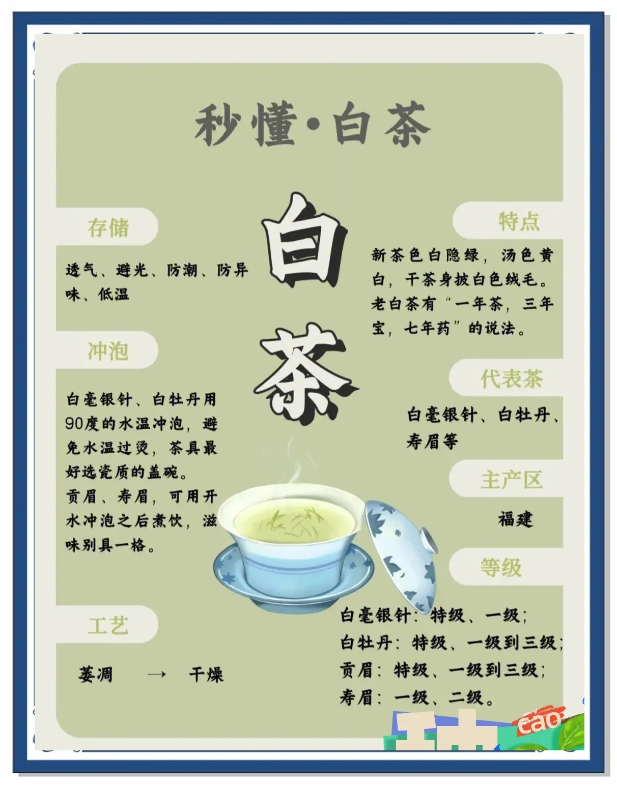 白茶冲泡方法(老寿眉白茶冲泡方法)