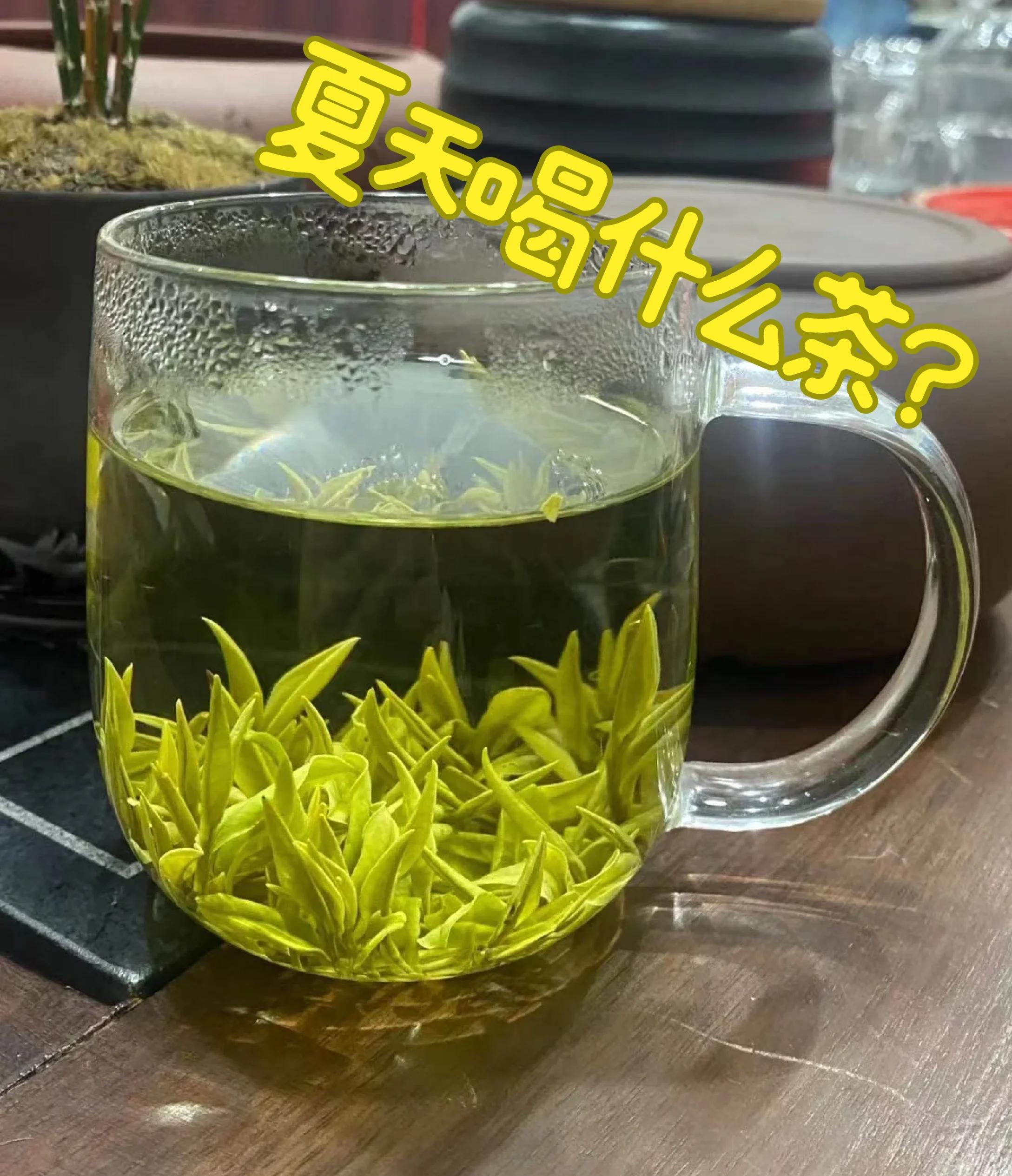 信阳毛尖的冲泡方法(信阳毛尖的冲泡方法?毛尖茶哪个牌子好)