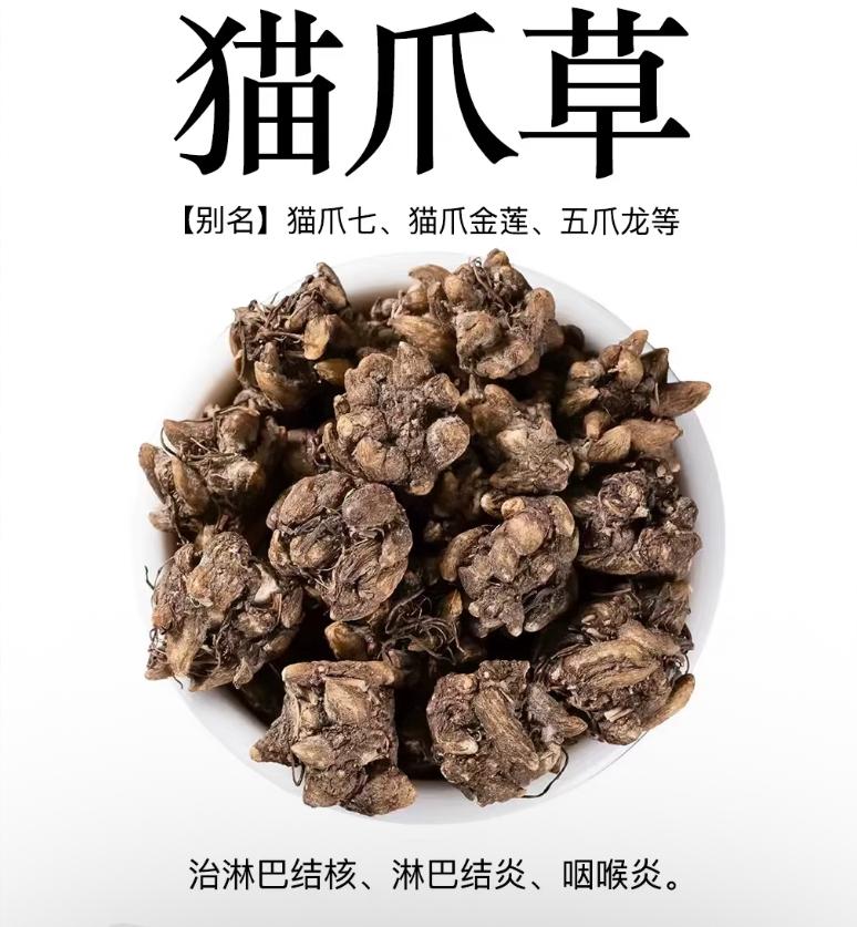 猫爪草的别名叫什么(猫爪草的别名叫什么,猫爪草的核心作)
