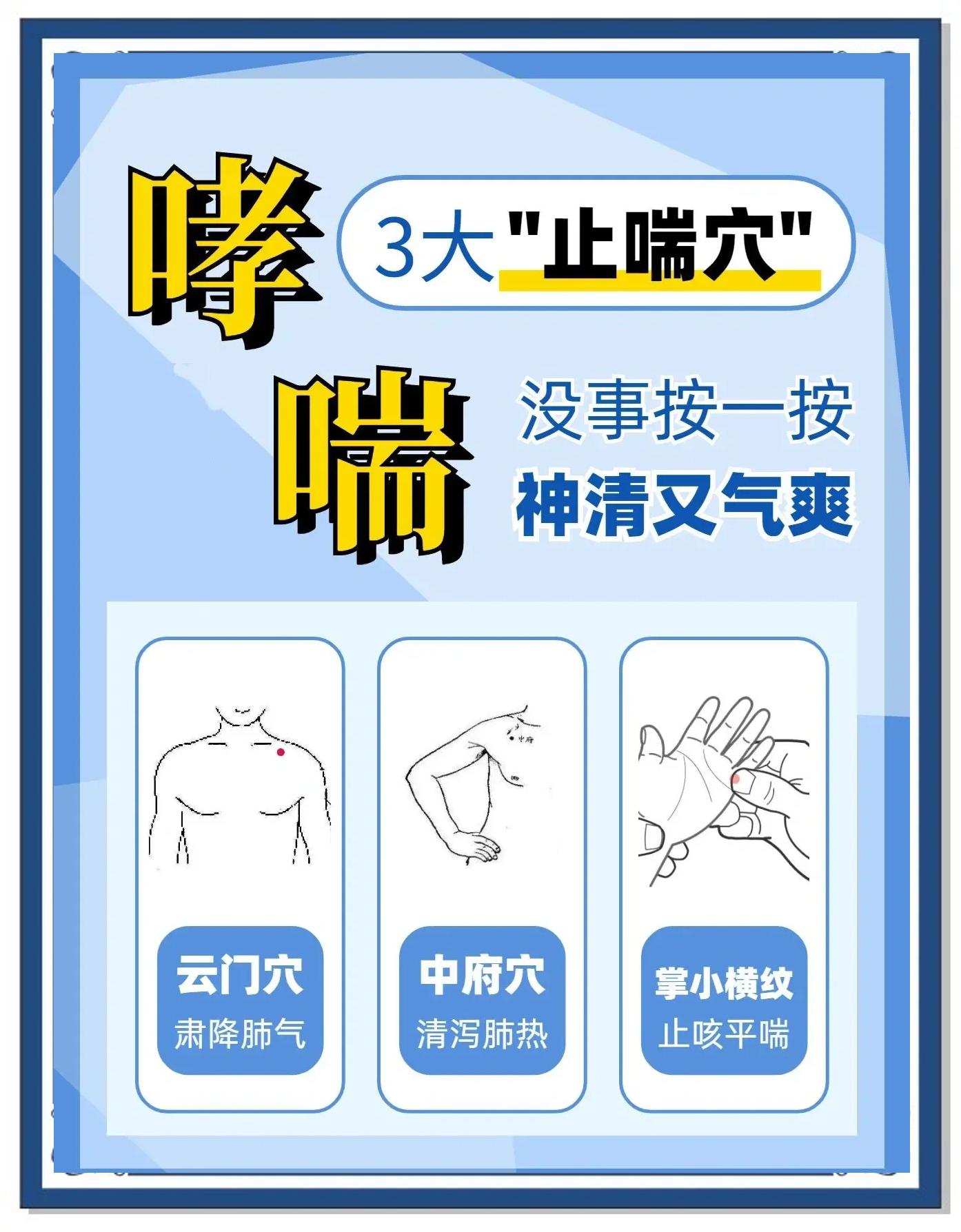 定喘汤(定喘汤主治)