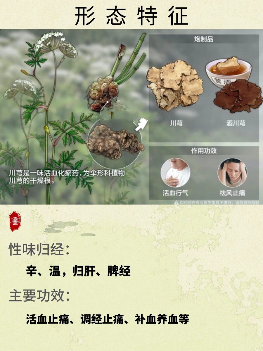 川穹和川芎一样吗(川穹与作用的功效与作用)