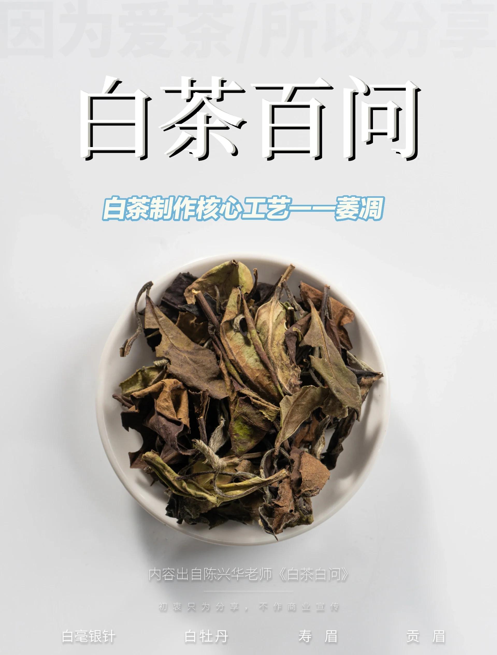 哪种白茶最好(哪一款白茶比较好)