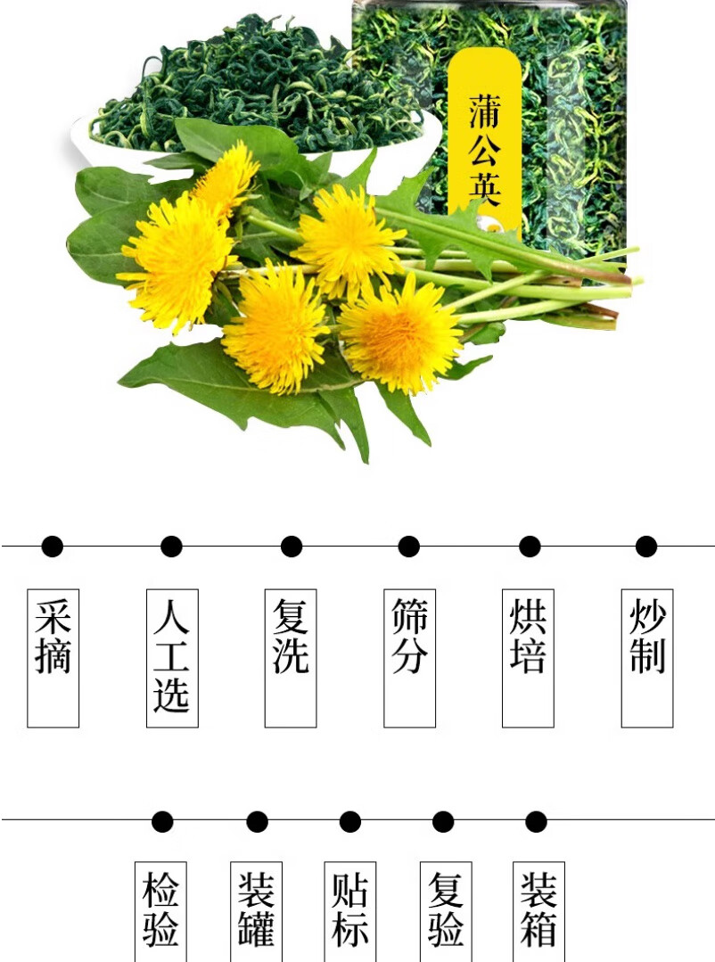 蒲公英茶的制作方法步骤(蒲公英茶的制作方法步骤是什么?晒干和炒制哪种更好?)